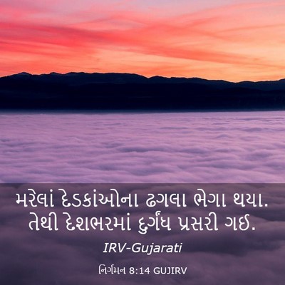 Picture 03 - નિર્ગમન 8:14 GUJIRV - મરેલાં દેડકાંઓના - Bible Verse Picture