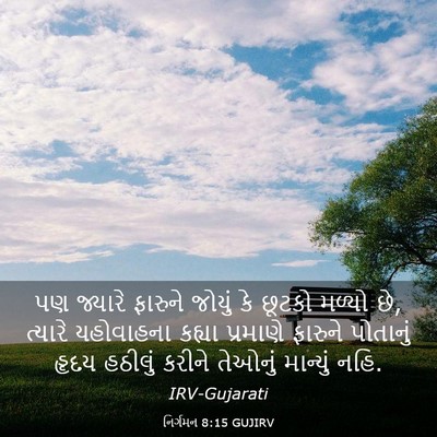 Picture 03 - નિર્ગમન 8:15 GUJIRV - પણ જ્યારે ફારુને - Bible Verse Picture