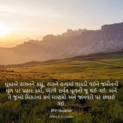 Picture 03 - નિર્ગમન 8:17 GUJIRV - મૂસાએ હારુનને - Bible Verse Picture