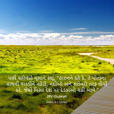 Picture 03 - નિર્ગમન 8:5 GUJIRV - પછી યહોવાહે - Bible Verse Picture