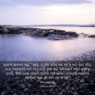Picture 03 - નિર્ગમન 8:9 GUJIRV - મૂસાએ ફારુનને - Bible Verse Picture