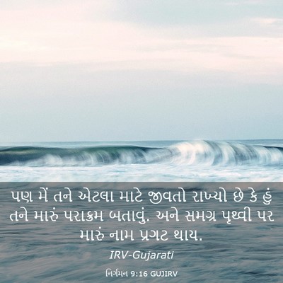 Picture 03 - નિર્ગમન 9:16 GUJIRV - પણ મેં તને એટલા - Bible Verse Picture