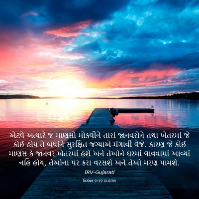 Picture 03 - નિર્ગમન 9:19 GUJIRV - એટલે અત્યારે જ - Bible Verse Picture
