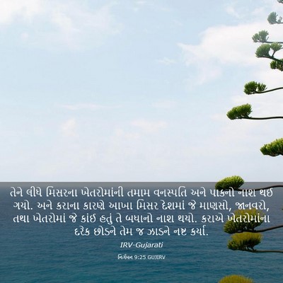Picture 03 - નિર્ગમન 9:25 GUJIRV - તેને લીધે મિસરના - Bible Verse Picture
