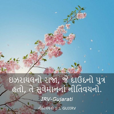 Picture 03 - નીતિવચનો 1:1 GUJIRV - ઇઝરાયલનો રાજા, જે - Bible Verse Picture