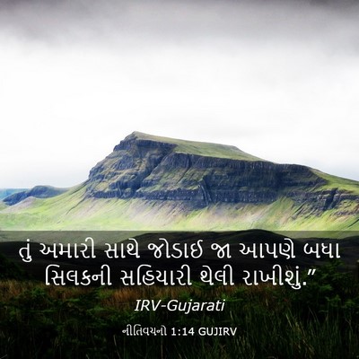 Picture 03 - નીતિવચનો 1:14 GUJIRV - તું અમારી સાથે - Bible Verse Picture