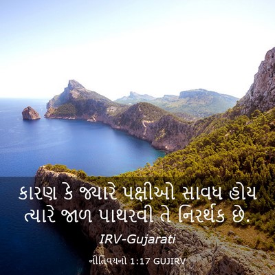 Picture 03 - નીતિવચનો 1:17 GUJIRV - કારણ કે જ્યારે - Bible Verse Picture