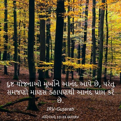 Picture 03 - નીતિવચનો 10:23 GUJIRV - દુષ્ટ યોજનાઓ - Bible Verse Picture