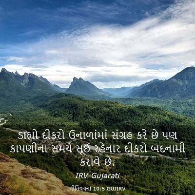 Picture 03 - નીતિવચનો 10:5 GUJIRV - ડાહ્યો દીકરો - Bible Verse Picture