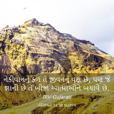 Picture 03 - નીતિવચનો 11:30 GUJIRV - નેકીવાનનું ફળ તે - Bible Verse Picture