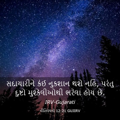 Picture 03 - નીતિવચનો 12:21 GUJIRV - સદાચારીને કંઈ - Bible Verse Picture