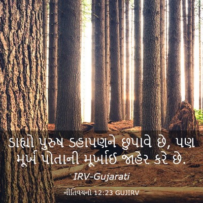 Picture 03 - નીતિવચનો 12:23 GUJIRV - ડાહ્યો પુરુષ - Bible Verse Picture