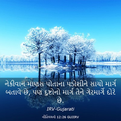 Picture 03 - નીતિવચનો 12:26 GUJIRV - નેકીવાન માણસ - Bible Verse Picture