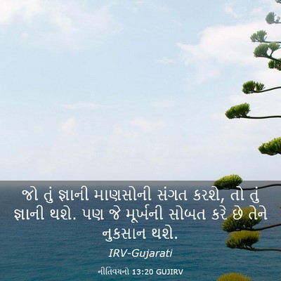 Picture 03 - નીતિવચનો 13:20 GUJIRV - જો તું જ્ઞાની - Bible Verse Picture