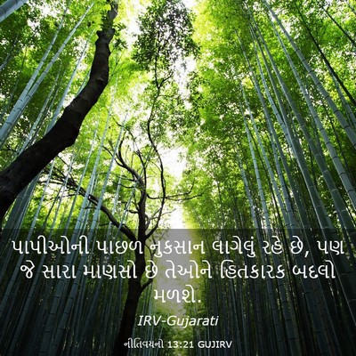 Picture 03 - નીતિવચનો 13:21 GUJIRV - પાપીઓની પાછળ - Bible Verse Picture