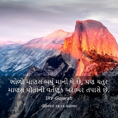 Picture 03 - નીતિવચનો 14:15 GUJIRV - ભોળો માણસ બધું - Bible Verse Picture