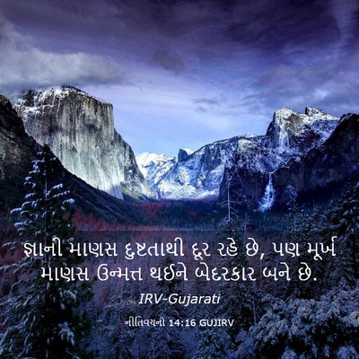 Picture 03 - નીતિવચનો 14:16 GUJIRV - જ્ઞાની માણસ - Bible Verse Picture