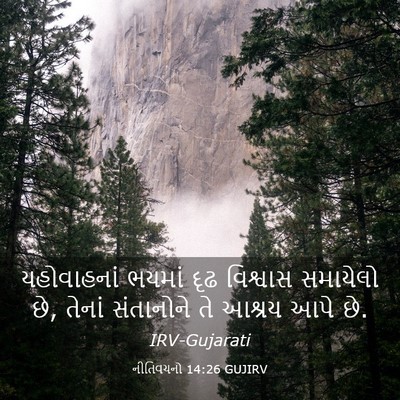 Picture 03 - નીતિવચનો 14:26 GUJIRV - યહોવાહનાં ભયમાં - Bible Verse Picture