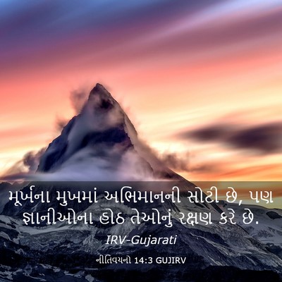 Picture 03 - નીતિવચનો 14:3 GUJIRV - મૂર્ખના મુખમાં - Bible Verse Picture