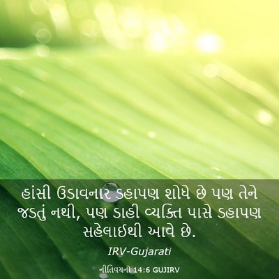 Picture 03 - નીતિવચનો 14:6 GUJIRV - હાંસી ઉડાવનાર - Bible Verse Picture