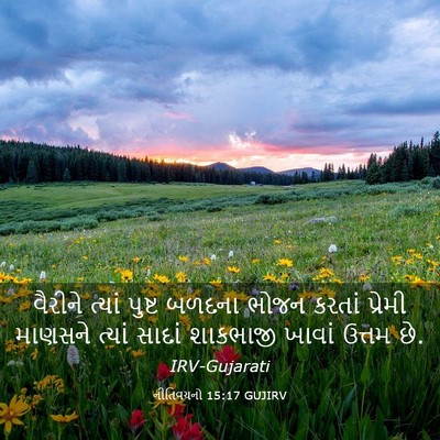 Picture 03 - નીતિવચનો 15:17 GUJIRV - વૈરીને ત્યાં - Bible Verse Picture