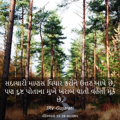 Picture 03 - નીતિવચનો 15:28 GUJIRV - સદાચારી માણસ - Bible Verse Picture