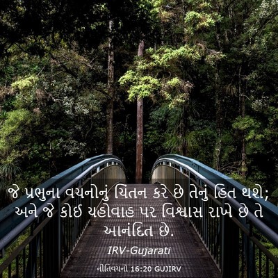 Picture 03 - નીતિવચનો 16:20 GUJIRV - જે પ્રભુના - Bible Verse Picture