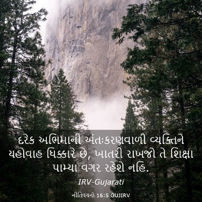Picture 03 - નીતિવચનો 16:5 GUJIRV - દરેક અભિમાની - Bible Verse Picture