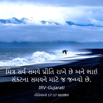 Picture 03 - નીતિવચનો 17:17 GUJIRV - મિત્ર સર્વ સમયે - Bible Verse Picture