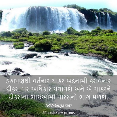 Picture 03 - નીતિવચનો 17:2 GUJIRV - ડહાપણથી વર્તનાર - Bible Verse Picture