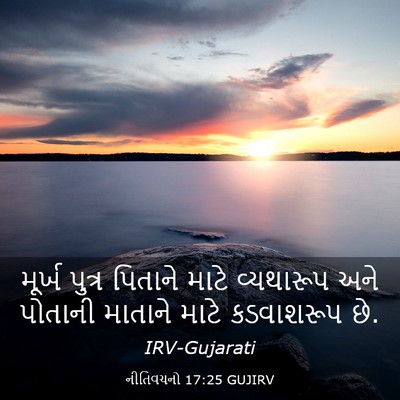 Picture 03 - નીતિવચનો 17:25 GUJIRV - મૂર્ખ પુત્ર - Bible Verse Picture