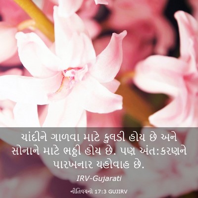 Picture 03 - નીતિવચનો 17:3 GUJIRV - ચાંદીને ગાળવા - Bible Verse Picture