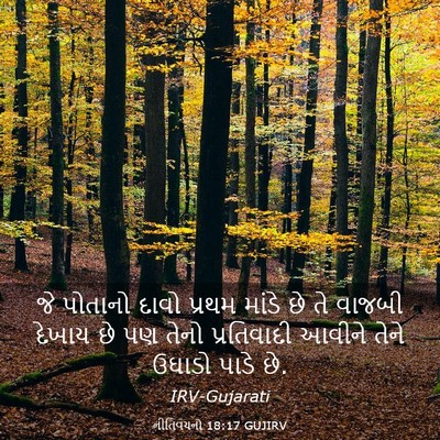 Picture 03 - નીતિવચનો 18:17 GUJIRV - જે પોતાનો દાવો - Bible Verse Picture