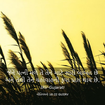Picture 03 - નીતિવચનો 18:22 GUJIRV - જેને પત્ની મળે તે - Bible Verse Picture
