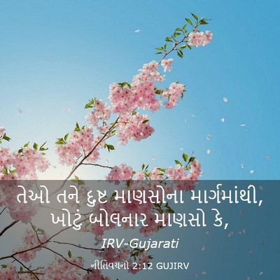 Picture 03 - નીતિવચનો 2:12 GUJIRV - તેઓ તને દુષ્ટ - Bible Verse Picture