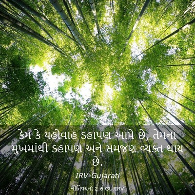 Picture 03 - નીતિવચનો 2:6 GUJIRV - કેમ કે યહોવાહ - Bible Verse Picture