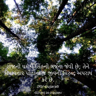 Picture 03 - નીતિવચનો 20:2 GUJIRV - રાજાની ધમકી - Bible Verse Picture