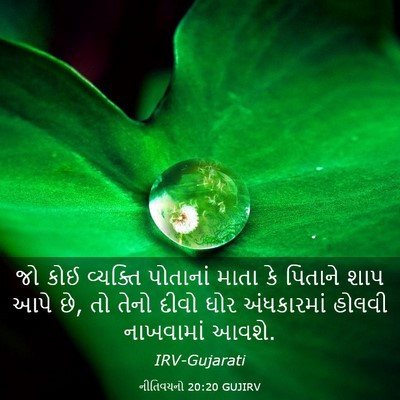 Picture 03 - નીતિવચનો 20:20 GUJIRV - જો કોઈ વ્યક્તિ - Bible Verse Picture