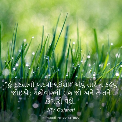 Picture 03 - નીતિવચનો 20:22 GUJIRV - “હું દુષ્ટતાનો - Bible Verse Picture