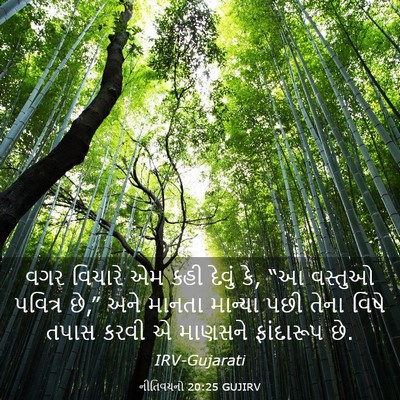 Picture 03 - નીતિવચનો 20:25 GUJIRV - વગર વિચારે એમ કહી - Bible Verse Picture