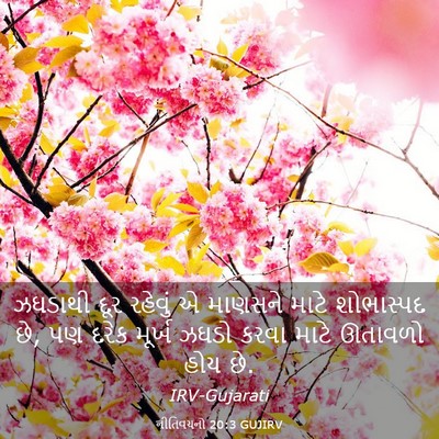 Picture 03 - નીતિવચનો 20:3 GUJIRV - ઝઘડાથી દૂર રહેવું - Bible Verse Picture