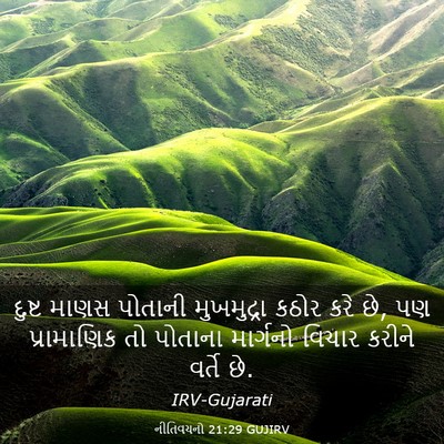 Picture 03 - નીતિવચનો 21:29 GUJIRV - દુષ્ટ માણસ પોતાની - Bible Verse Picture