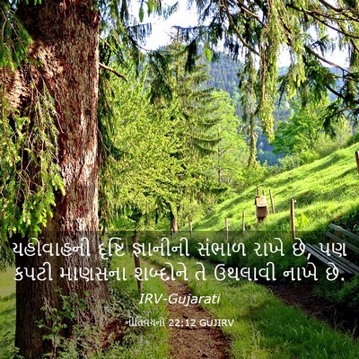 Picture 03 - નીતિવચનો 22:12 GUJIRV - યહોવાહની દૃષ્ટિ - Bible Verse Picture