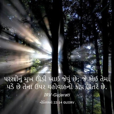 Picture 03 - નીતિવચનો 22:14 GUJIRV - પરસ્ત્રીનું મુખ - Bible Verse Picture
