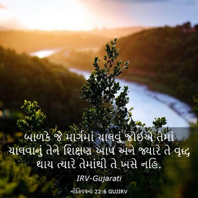 Picture 03 - નીતિવચનો 22:6 GUJIRV - બાળકે જે માર્ગમાં - Bible Verse Picture
