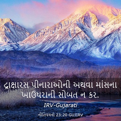 Picture 03 - નીતિવચનો 23:20 GUJIRV - દ્રાક્ષારસ - Bible Verse Picture