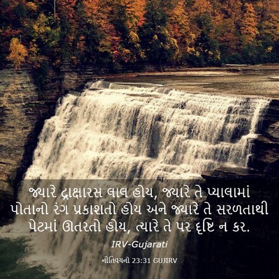 Picture 03 - નીતિવચનો 23:31 GUJIRV - જ્યારે દ્રાક્ષારસ - Bible Verse Picture