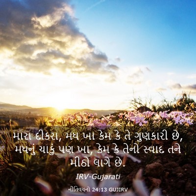 Picture 03 - નીતિવચનો 24:13 GUJIRV - મારા દીકરા, મધ ખા - Bible Verse Picture