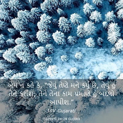 Picture 03 - નીતિવચનો 24:29 GUJIRV - એમ ન કહે કે, “જેવું - Bible Verse Picture