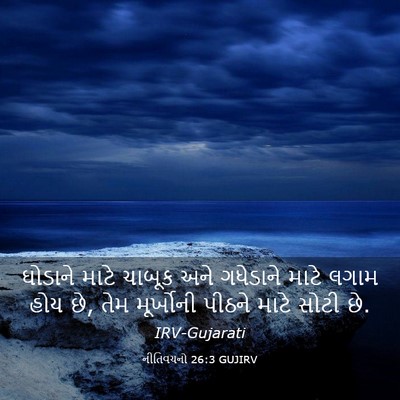 Picture 03 - નીતિવચનો 26:3 GUJIRV - ઘોડાને માટે ચાબૂક - Bible Verse Picture